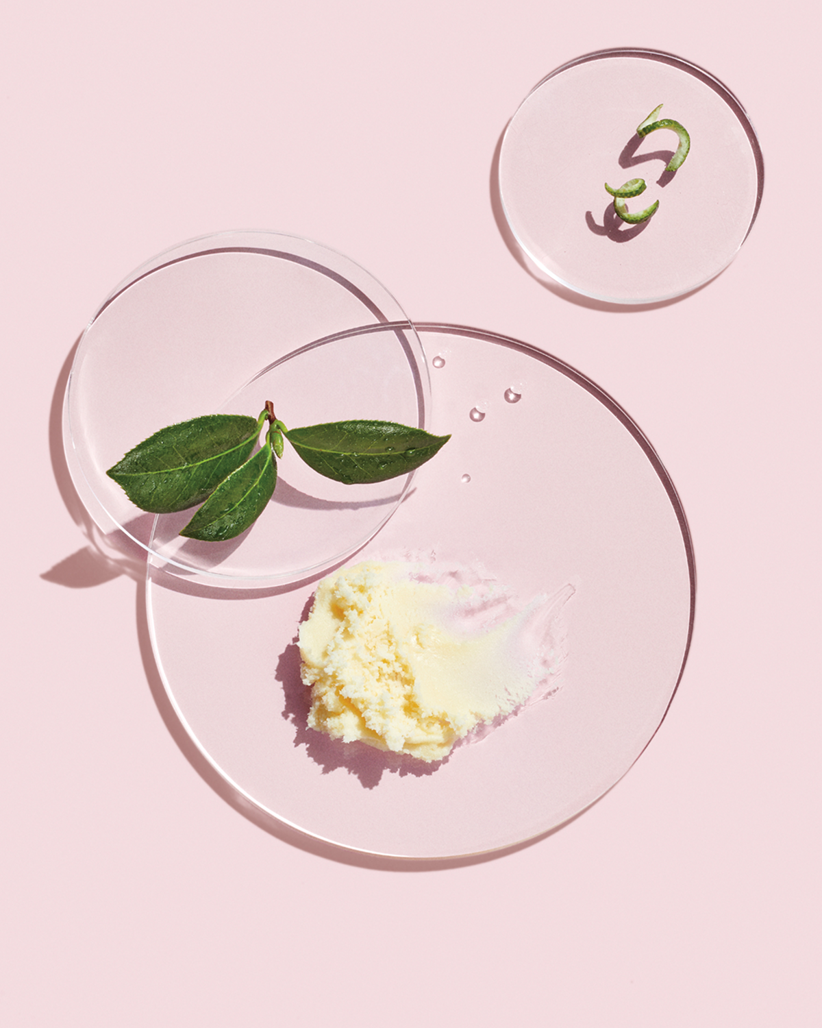 Mary Kay Ingredient Glossary
